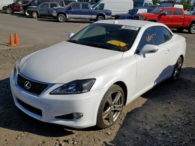 JTHFE2C23B2506934 - 2011 LEXUS IS 350 WHITE photo 2