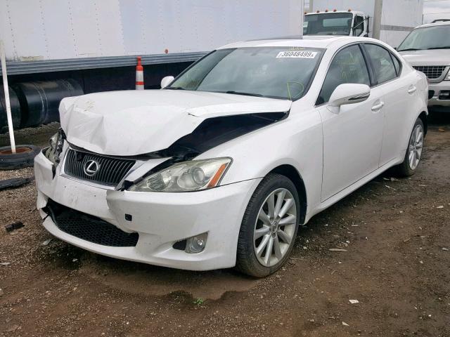 JTHCK262795033815 - 2009 LEXUS IS 250 WHITE photo 2