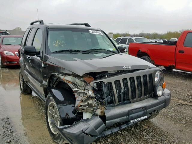 1J4GL38K65W725601 - 2005 JEEP LIBERTY RE GRAY photo 1