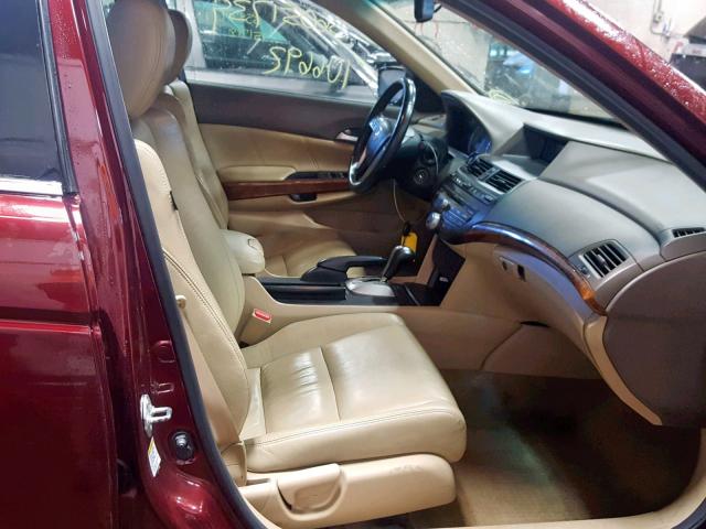 1HGCP2F8XAA108950 - 2010 HONDA ACCORD EXL BURGUNDY photo 5