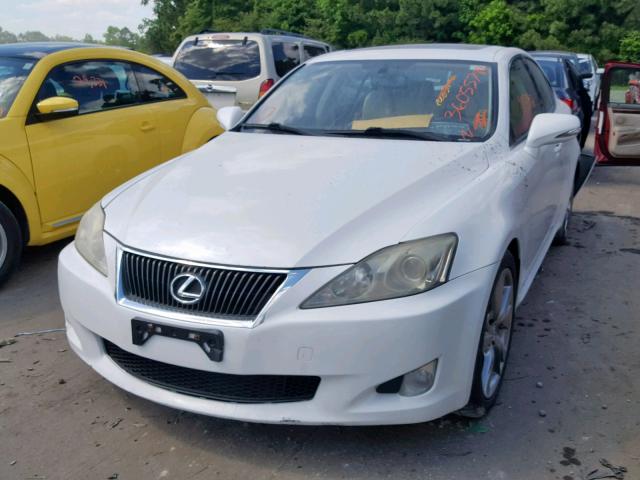 JTHBK262995092103 - 2009 LEXUS IS250 WHITE photo 2