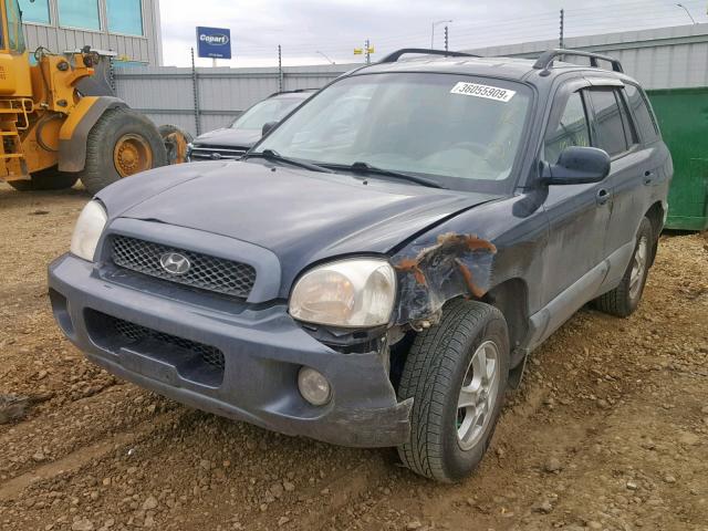 KM8SB73D14U614138 - 2004 HYUNDAI SANTA FE BLUE photo 2