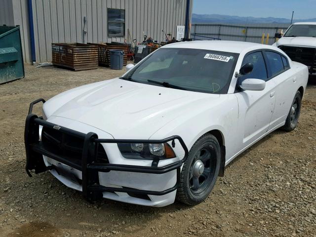 2C3CDXAT3CH126425 - 2012 DODGE CHARGER PO WHITE photo 2