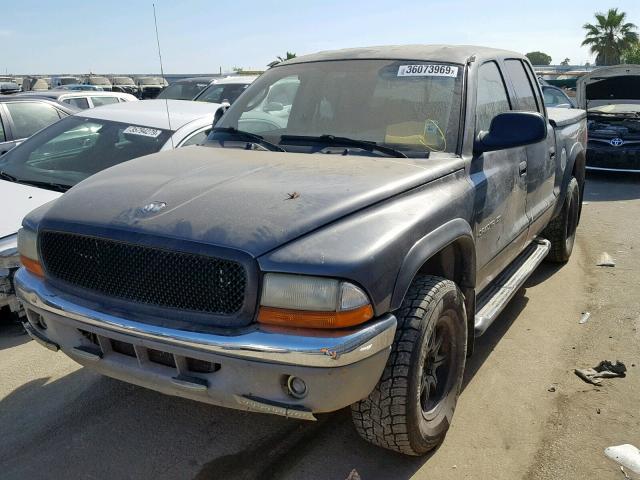 1B7HG48Z92S532136 - 2002 DODGE DAKOTA QUA BLACK photo 2