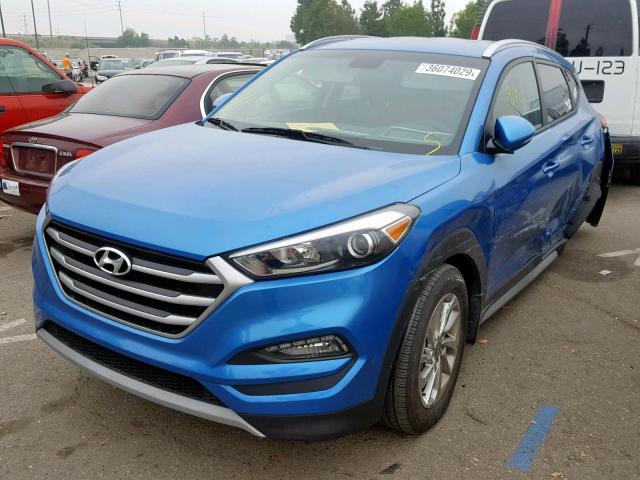 KM8J33A21HU367812 - 2017 HYUNDAI TUCSON LIM BLUE photo 2