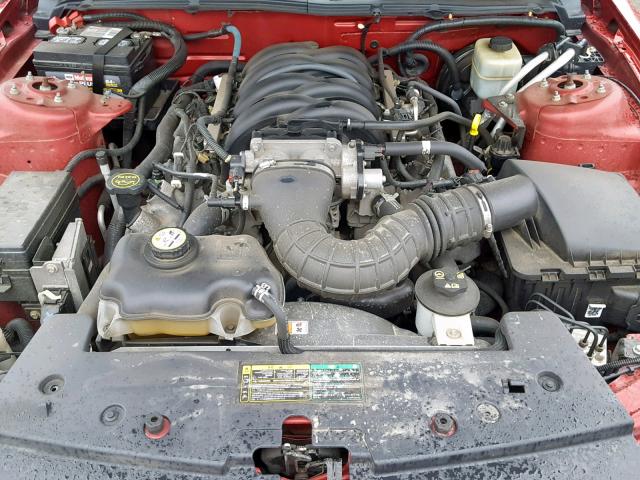 1ZVHT82H455146520 - 2005 FORD MUSTANG GT RED photo 7