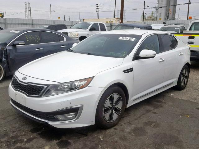 KNAGM4AD1C5010438 - 2012 KIA OPTIMA HYB WHITE photo 2