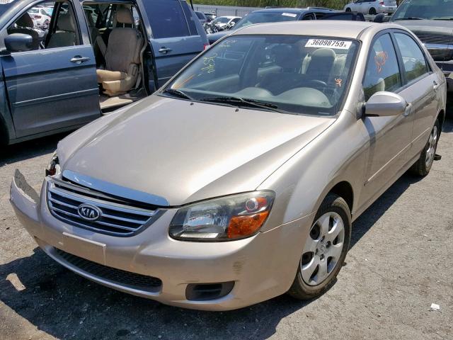 KNAFE221195597735 - 2009 KIA SPECTRA EX GOLD photo 2