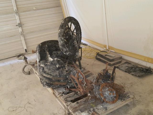 WB1022801AZW90720 - 2010 BMW F650 GS BURN photo 1