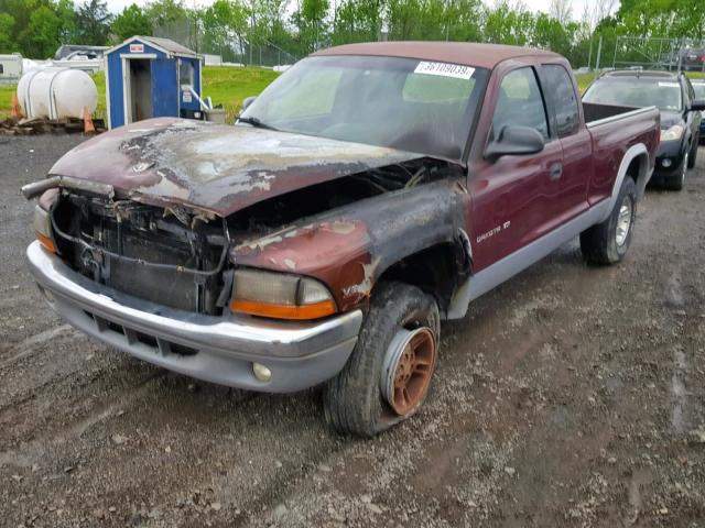 1B7GG22N5YS593174 - 2000 DODGE DAKOTA RED photo 2