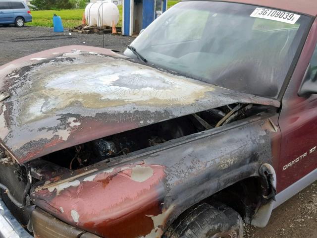 1B7GG22N5YS593174 - 2000 DODGE DAKOTA RED photo 9