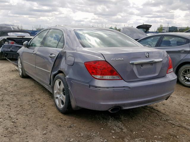 JH4KB16325C800362 - 2005 ACURA RL GRAY photo 3