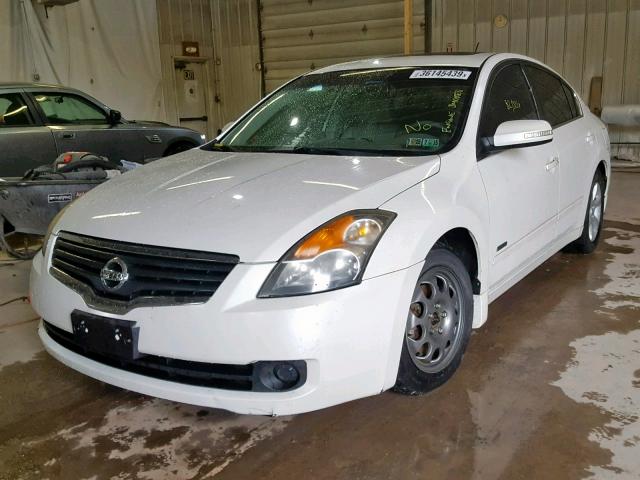 1N4CL21EX8C233894 - 2008 NISSAN ALTIMA HYB WHITE photo 2