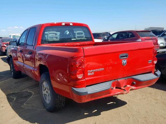 1D7HW48N755212100 - 2005 DODGE DAKOTA QUA RED photo 3