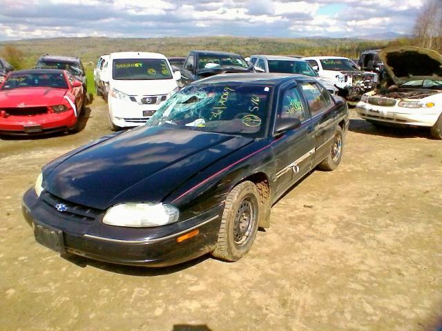 2G1WL52M8S9336530 - 1995 CHEVROLET LUMINA BLACK photo 2