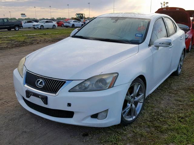 JTHBK262792091467 - 2009 LEXUS IS 250 WHITE photo 2