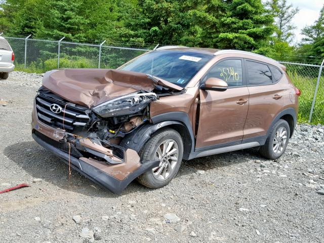 KM8J3CA44HU302602 - 2017 HYUNDAI TUCSON LIM BROWN photo 1