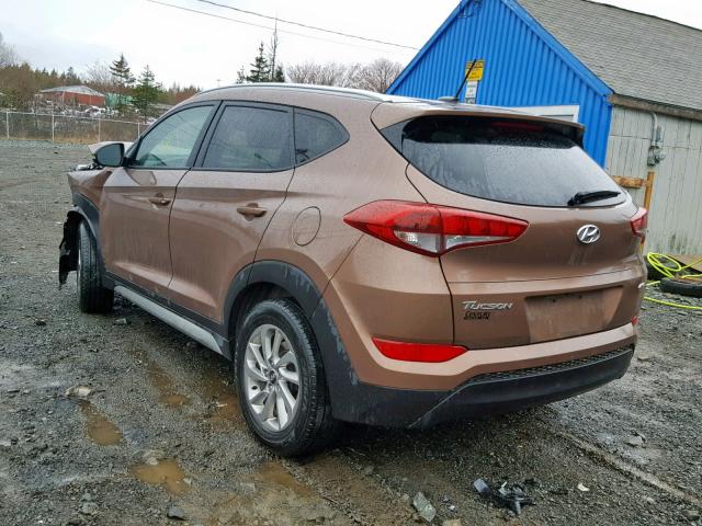 KM8J3CA44HU302602 - 2017 HYUNDAI TUCSON LIM BROWN photo 3