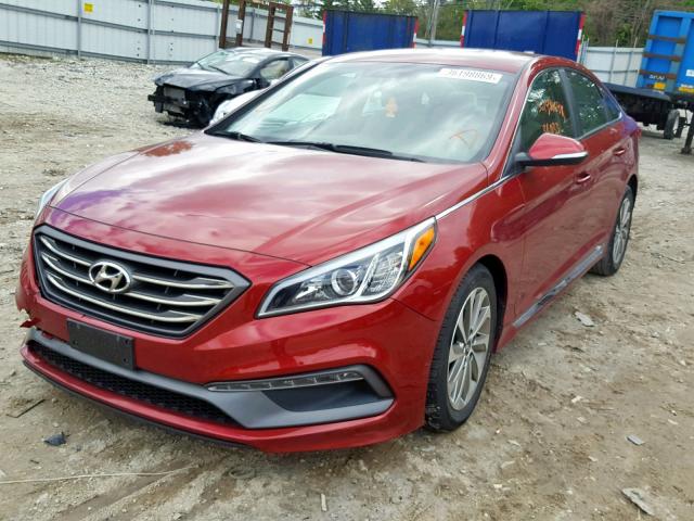 5NPE34AF3FH088383 - 2015 HYUNDAI SONATA SPO RED photo 2