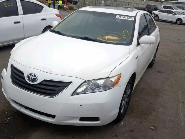 JTNBB46K583048649 - 2008 TOYOTA CAMRY HYBR WHITE photo 2