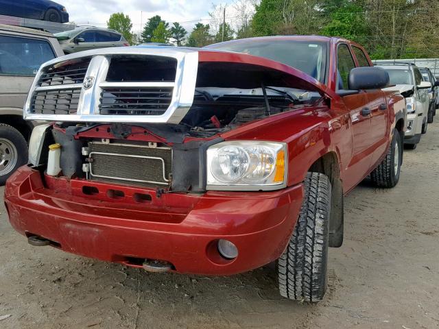 1D7HW48K76S526546 - 2006 DODGE DAKOTA QUA RED photo 2