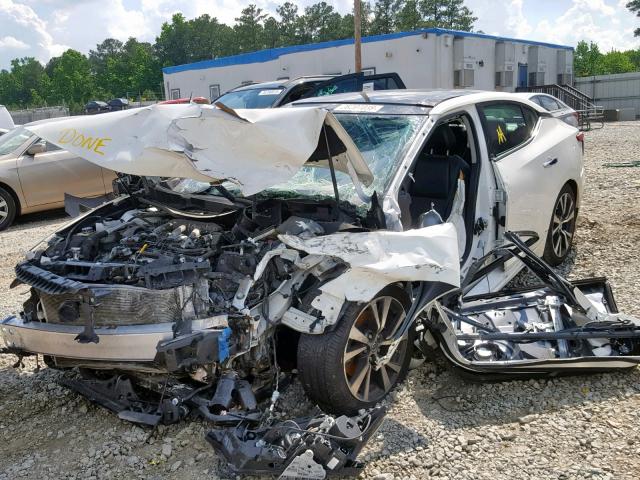 1N4AA6AP5GC384288 - 2016 NISSAN MAXIMA 3.5 WHITE photo 2