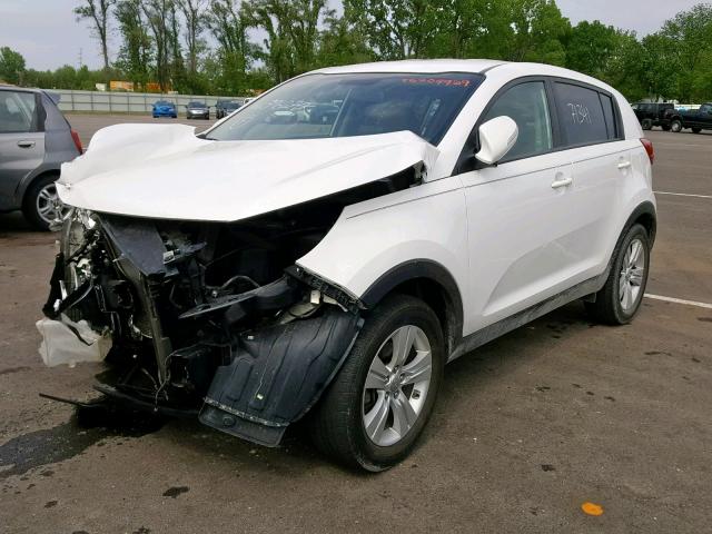 KNDPB3A21D7396270 - 2013 KIA SPORTAGE B WHITE photo 2