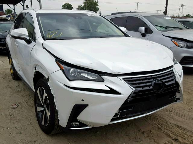 JTJYARBZ3K2117558 - 2019 LEXUS NX 300 WHITE photo 1