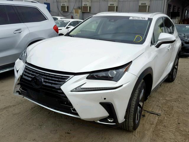 JTJYARBZ3K2117558 - 2019 LEXUS NX 300 WHITE photo 2