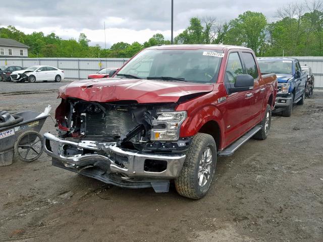 1FTEW1EG2HFB48255 - 2017 FORD F150 SUPER BURGUNDY photo 2