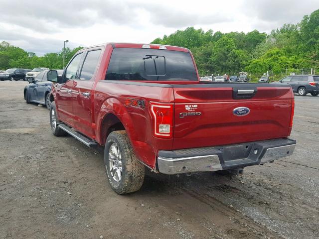 1FTEW1EG2HFB48255 - 2017 FORD F150 SUPER BURGUNDY photo 3