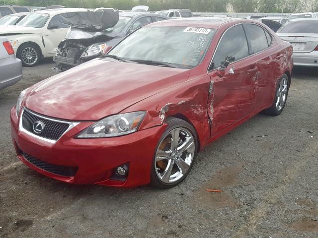 JTHBF5C20D5189936 - 2013 LEXUS IS 250 RED photo 2