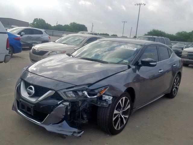 1N4AA6AP4GC446599 - 2016 NISSAN MAXIMA 3.5 GRAY photo 2