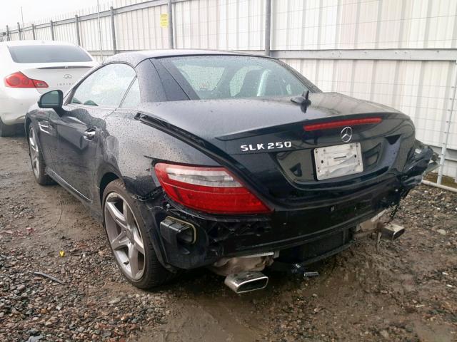 WDDPK4HA0DF058244 - 2013 MERCEDES-BENZ SLK 250 BLACK photo 3