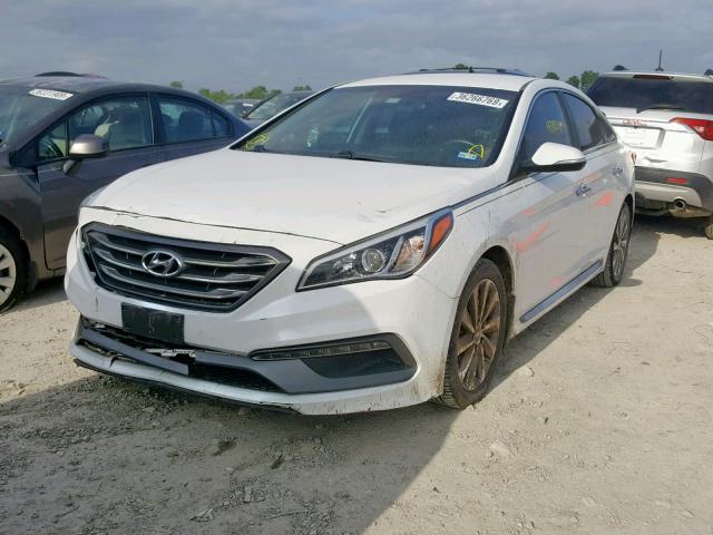 5NPE34AF8FH153597 - 2015 HYUNDAI SONATA SPO WHITE photo 2