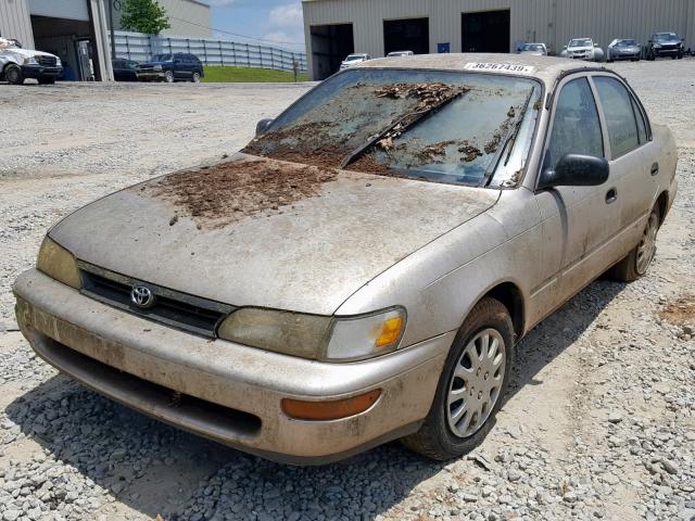 1NXAE04B3SZ347203 - 1995 TOYOTA COROLLA GOLD photo 2