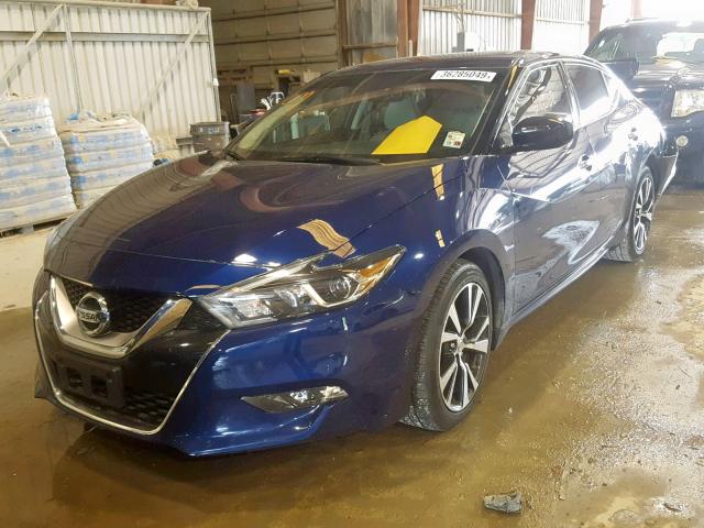 1N4AA6AP4HC437113 - 2017 NISSAN MAXIMA 3.5 BLUE photo 2