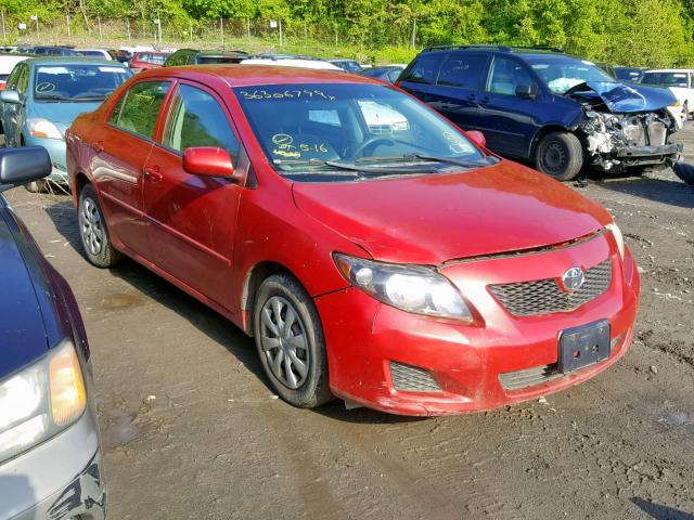 2T1BU4EE4AC246727 - 2010 TOYOTA COROLLA BA RED photo 1