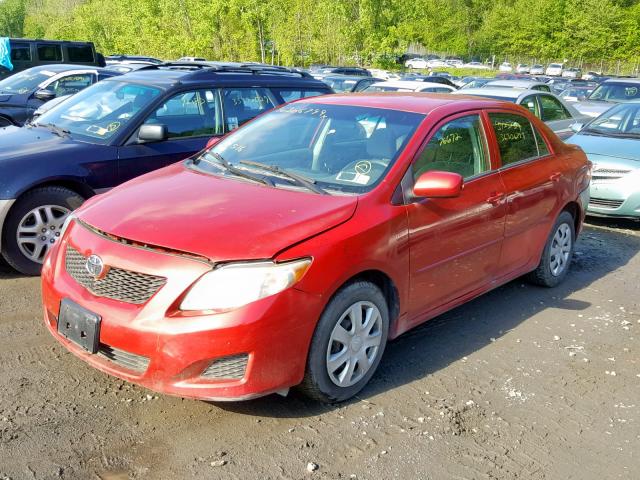 2T1BU4EE4AC246727 - 2010 TOYOTA COROLLA BA RED photo 2