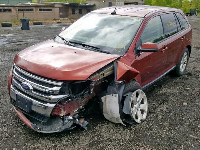 2FMDK4JC5EBB34161 - 2014 FORD EDGE SEL ORANGE photo 2