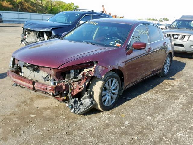 1HGCP2F80CA063195 - 2012 HONDA ACCORD EXL RED photo 2