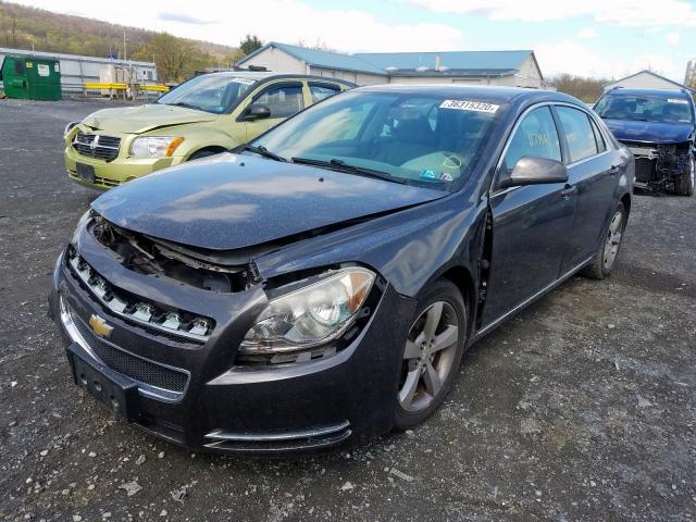 1G1ZC5E1XBF269869 - 2011 CHEVROLET MALIBU 1LT  照片 2