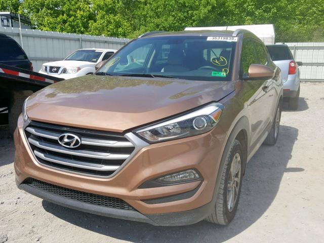 KM8J3CA46HU387748 - 2017 HYUNDAI TUCSON LIM BROWN photo 2