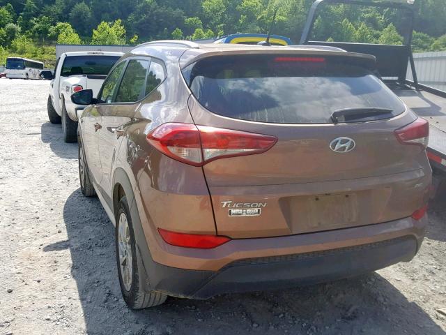 KM8J3CA46HU387748 - 2017 HYUNDAI TUCSON LIM BROWN photo 3