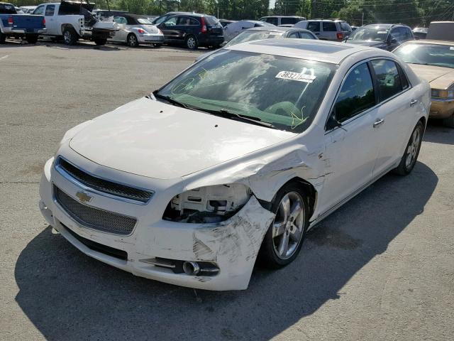 1G1ZK57B98F265135 - 2008 CHEVROLET MALIBU LTZ თეთრი ფოტო 2
