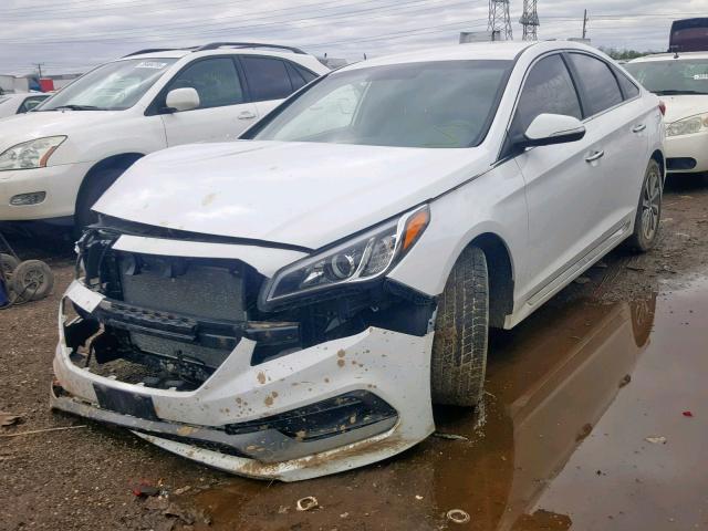 5NPE34AF2FH047971 - 2015 HYUNDAI SONATA SPO WHITE photo 2