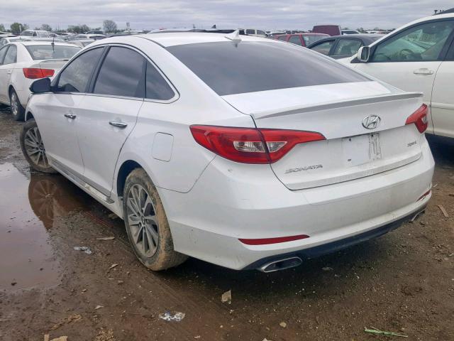 5NPE34AF2FH047971 - 2015 HYUNDAI SONATA SPO WHITE photo 3