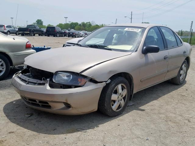 1G1JF52F647113085 - 2004 CHEVROLET CAVALIER L GOLD photo 2