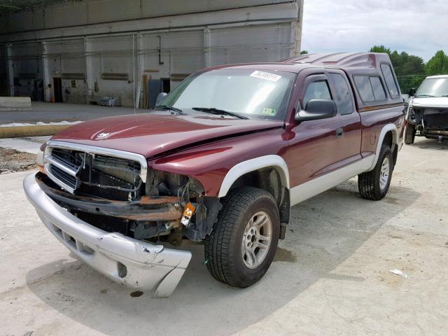 1D7HG42N93S273189 - 2003 DODGE DAKOTA SLT BURGUNDY photo 2