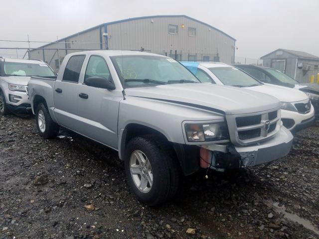 1D7RW3GK6BS585730 - 2011 DODGE DAKOTA SLT  photo 1